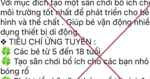Đăng ký học bóng rổ cho con trên mạng, người phụ nữ ở Hà Nội bị lừa 1,1 tỷ đồng