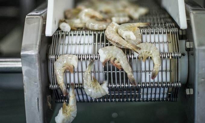 China replaces US as Vietnam’s largest shrimp export market