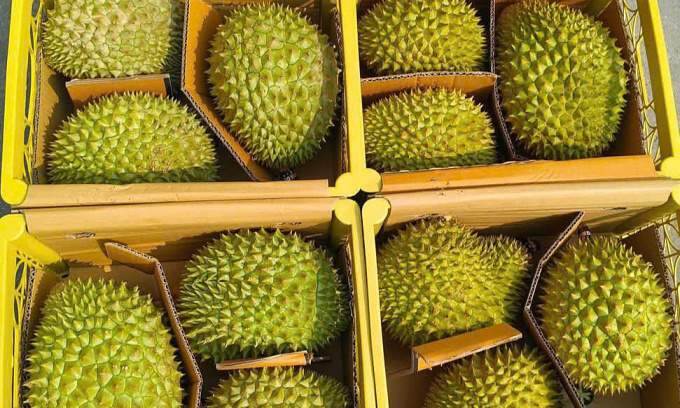 Fruit, vegetable exports decline as China raises quality bar