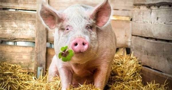 Một công ty có lợi nhuận đột biến tăng gần 3.000%