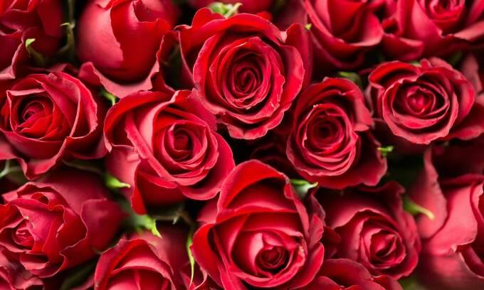 Valentine’s spending in Thailand expected to rise 7.2%