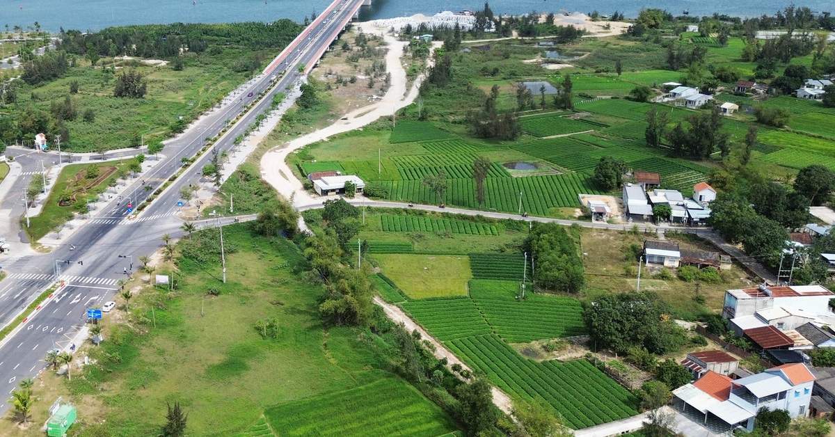 Bị phạt gần nửa tỉ đồng vì chiếm đất hơn 4ha để san lấp mặt bằng