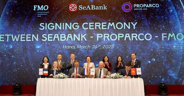 Hai tổ chức tài chính thuộc chính phủ Pháp và Hà Lan đầu tư 80 triệu USD cho SeABank