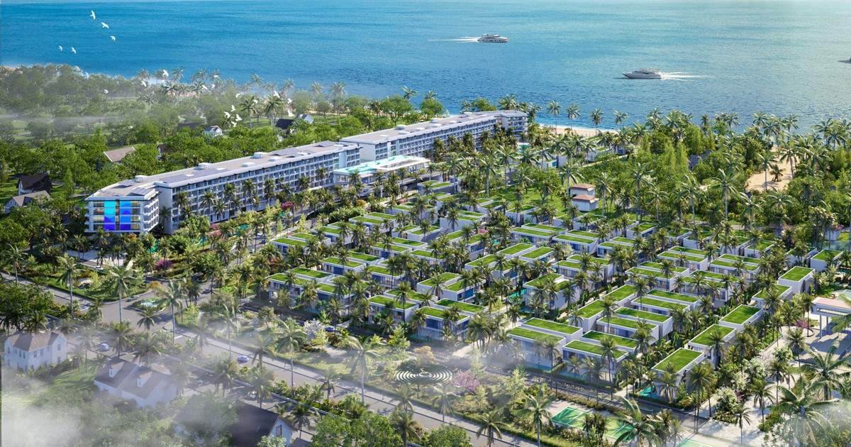 Các công ty con Bamboo Capital đồng thời công bố thông tin lãnh đạo bị khởi tố Các công ty con Bamboo Capital đồng thời công bố thông tin lãnh đạo bị khởi tố
