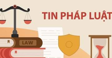 Gian lận hồ sơ, loạt doanh nghiệp xây dựng bị cấm đấu thầu ở Thanh Hóa Gian lận hồ sơ, loạt doanh nghiệp xây dựng bị cấm đấu thầu ở Thanh Hóa