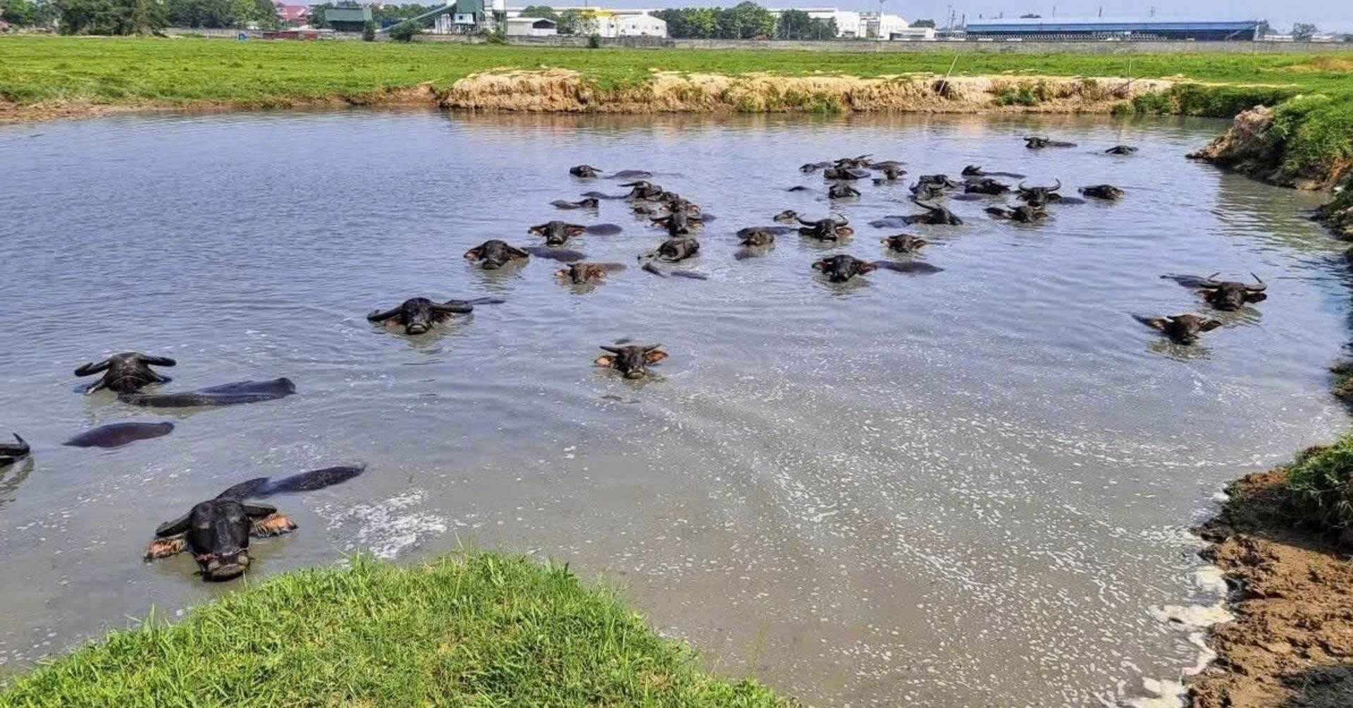 Bắc Ninh điểm tên hàng loạt dự án gây thất thoát, lãng phí lớn Bắc Ninh điểm tên hàng loạt dự án gây thất thoát, lãng phí lớn