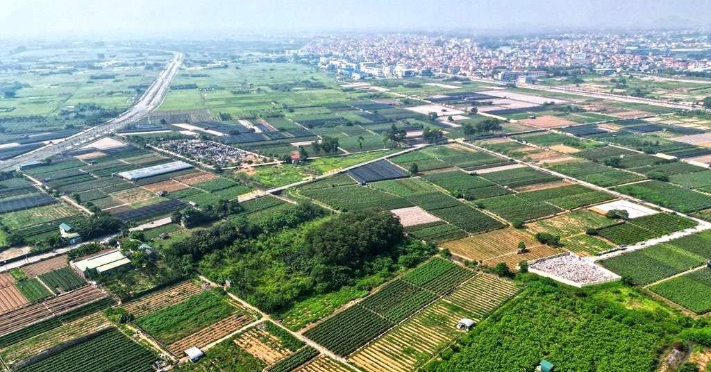 Hưng Yên đấu giá 178 suất đất, thấp nhất 10 triệu đồng/m2