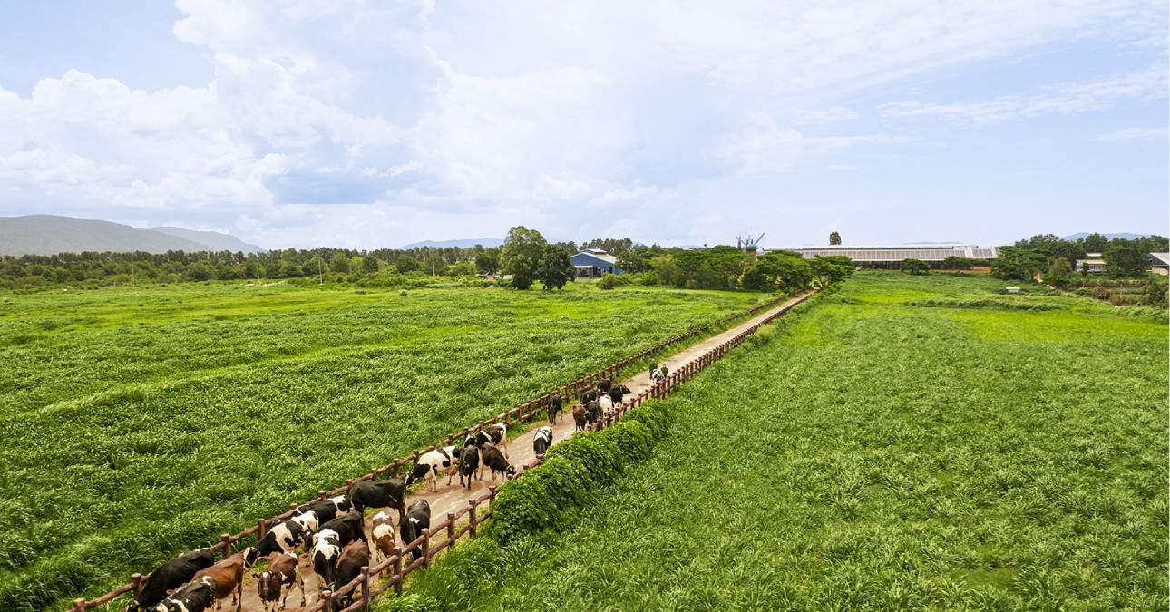 2 năm chuyển mình toàn diện, ‘chất Vinamilk’ không thay đổi