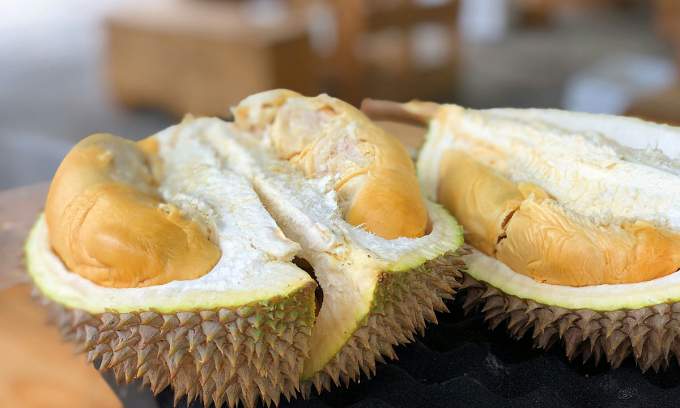 China to import durian, crocodile from Cambodia