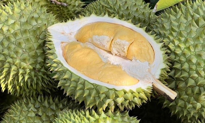 Durian loses top export status to dragon fruit, banana on tough import requirements