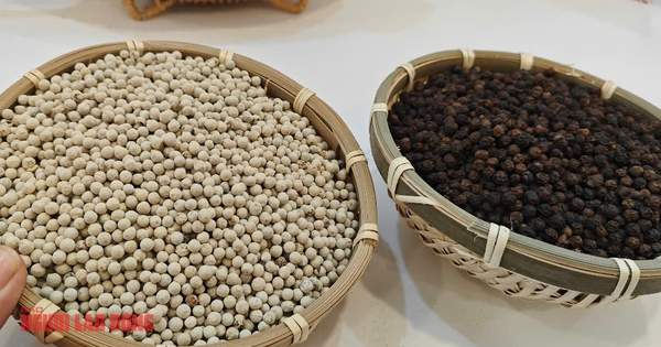 Giá tiêu hôm nay 12-4 tăng nóng, doanh nghiệp gom hàng xuất khẩu
