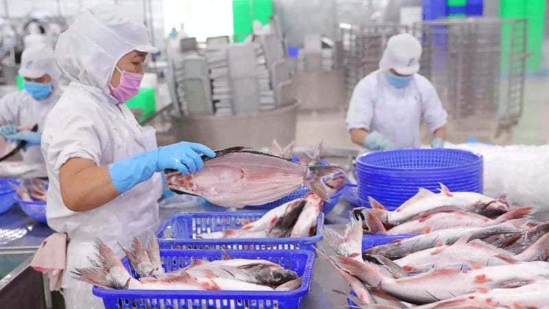 Ngân hàng Nhà nước ‘bơm’ 100.000 tỷ đồng cho nông, lâm, thủy sản