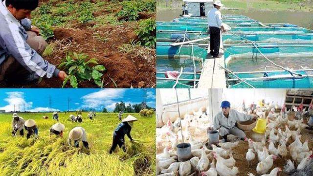 Ngành nông nghiệp đang nỗ lực để hướng tới mục tiêu tăng trưởng trên 4%/năm