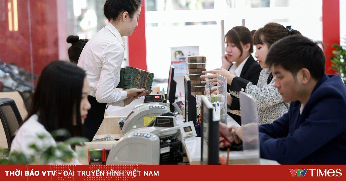 Lợi nhuận ngân hàng 2025 – Bức tranh đa sắc