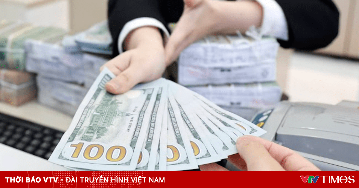 TP Hồ Chí Minh phát huy hiệu quả nguồn lực từ kiều hối