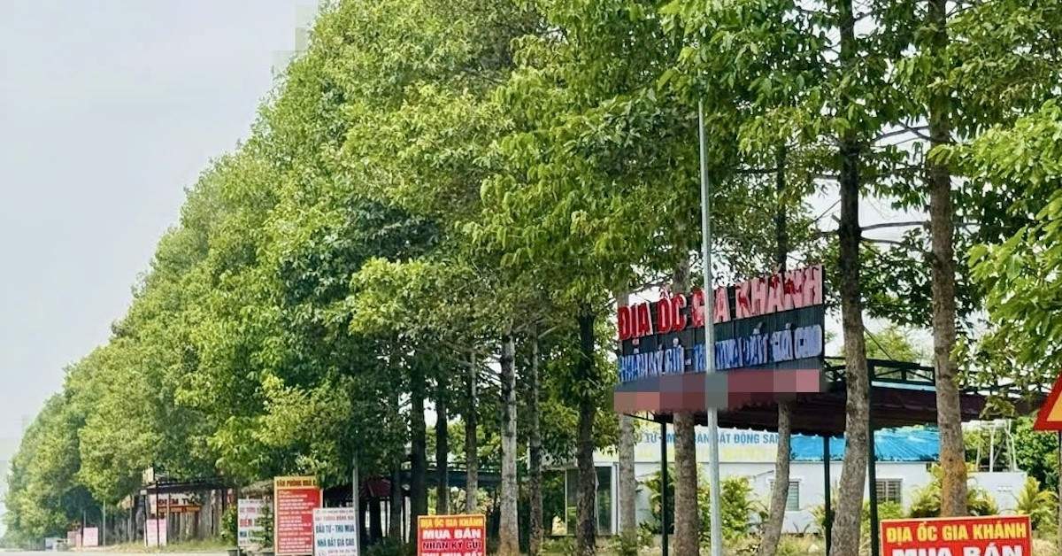 Môi giới bịa tin sáp nhập để ‘bơm thổi’ giá đất khu vực lân cận TPHCM Môi giới bịa tin sáp nhập để ‘bơm thổi’ giá đất khu vực lân cận TPHCM