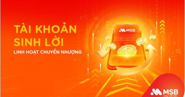 Lợi suất hấp dẫn, chuyển nhượng linh hoạt