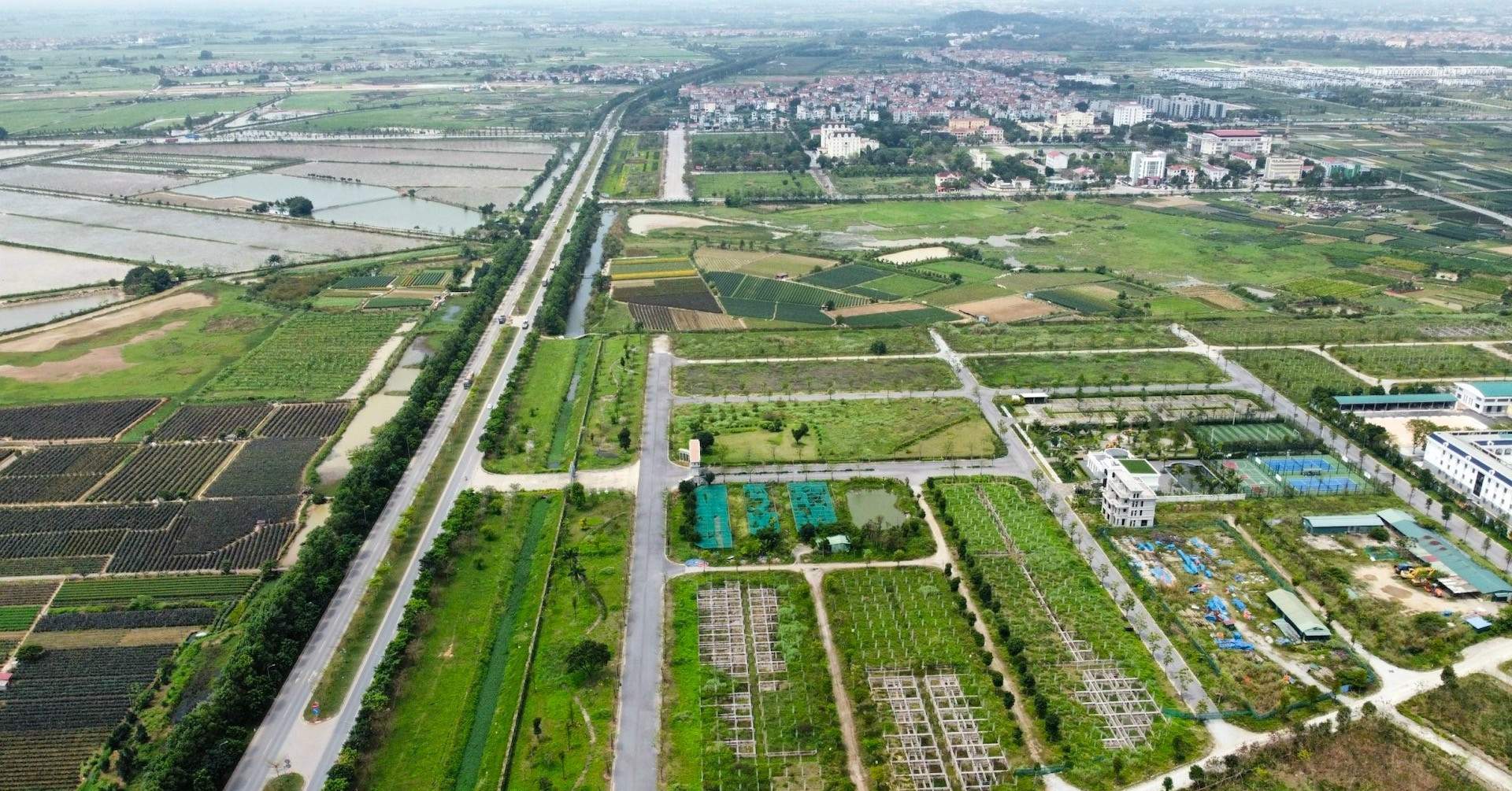 Viên chức có được nhận thừa kế đất lúa, đứng tên trên sổ đỏ?
