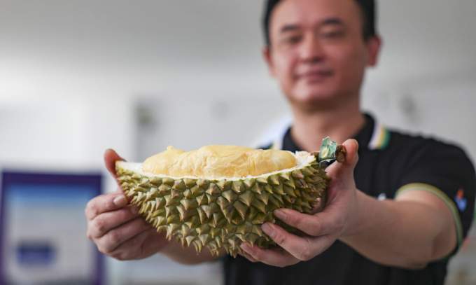 China to accept durian shipments from another 1,000 farms, packaging facilities in Vietnam China to accept durian shipments from another 1,000 farms, packaging facilities in Vietnam