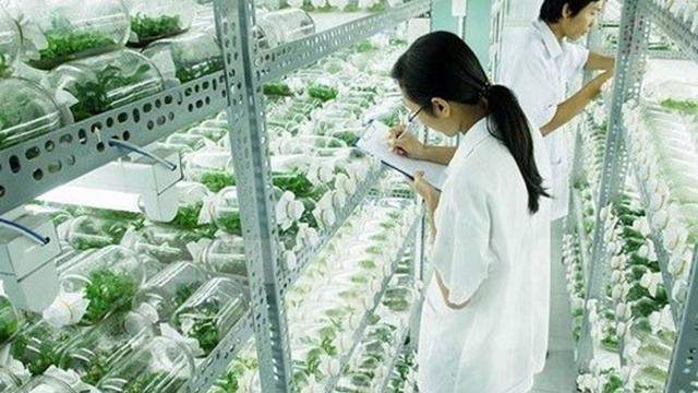 Hà Nội xây khu công nghệ cao sinh học tại quận Bắc Từ Liêm Hà Nội xây khu công nghệ cao sinh học tại quận Bắc Từ Liêm
