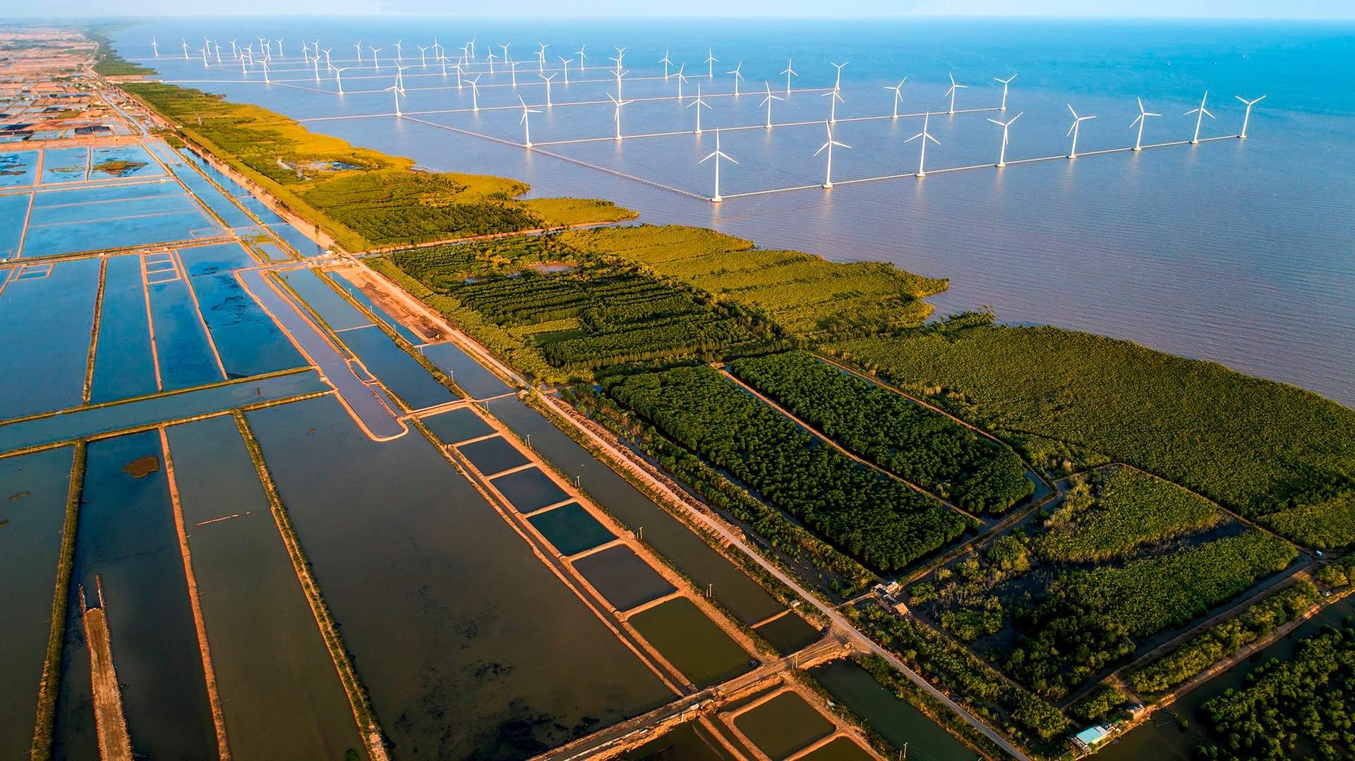 Hoàn thiện thể chế, chính sách, pháp luật về ứng phó với biến đổi khí hậu Hoàn thiện thể chế, chính sách, pháp luật về ứng phó với biến đổi khí hậu