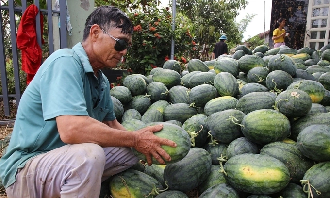 Key fruit exports plummet as major markets tighten import rules Key fruit exports plummet as major markets tighten import rules