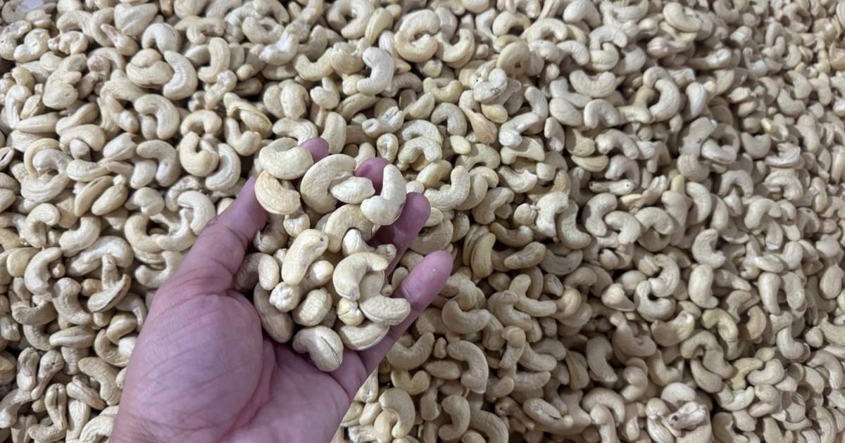 Vì sao ‘vua điều’ 10 năm chưa đòi được 4 container hàng bị mất?