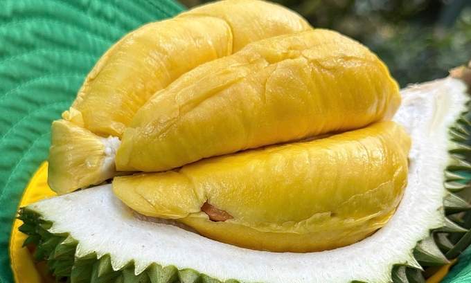 Vietnam races to fix durian export hurdles as China tightens quality checks Vietnam races to fix durian export hurdles as China tightens quality checks