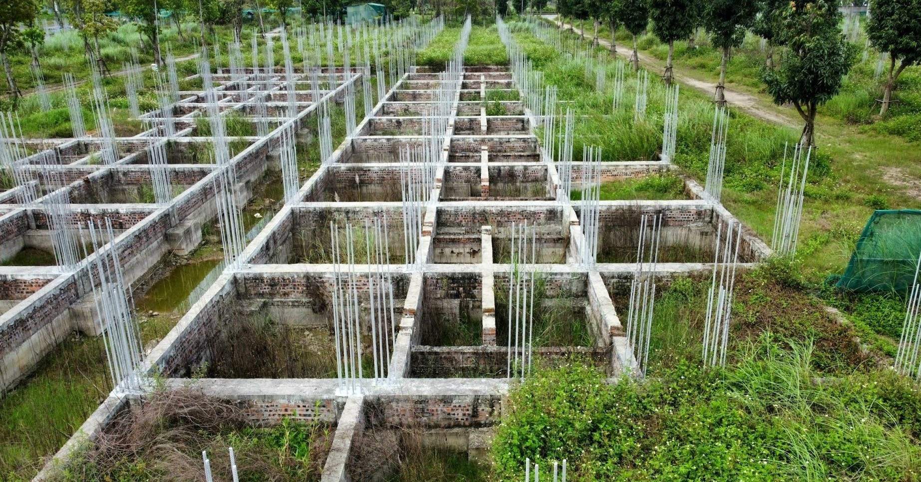 Nên xử phạt hay đánh thuế?