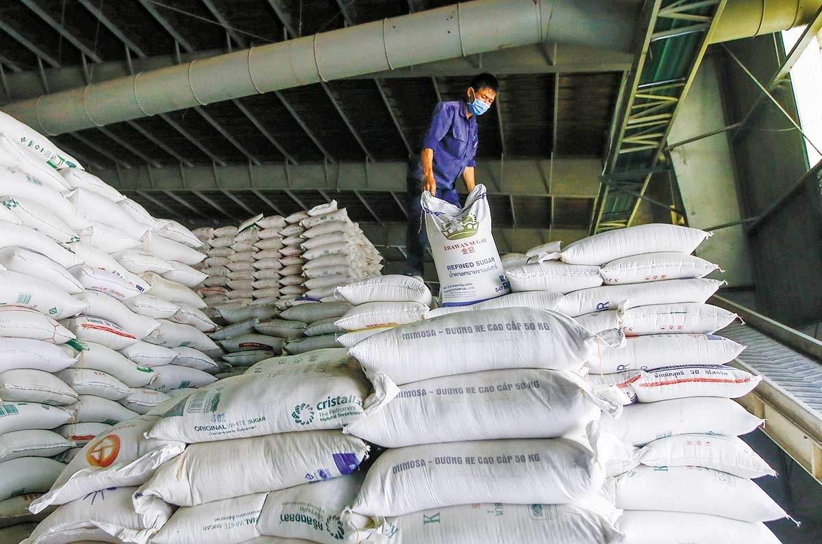 Africa emerges as new market for Vietnamese rice