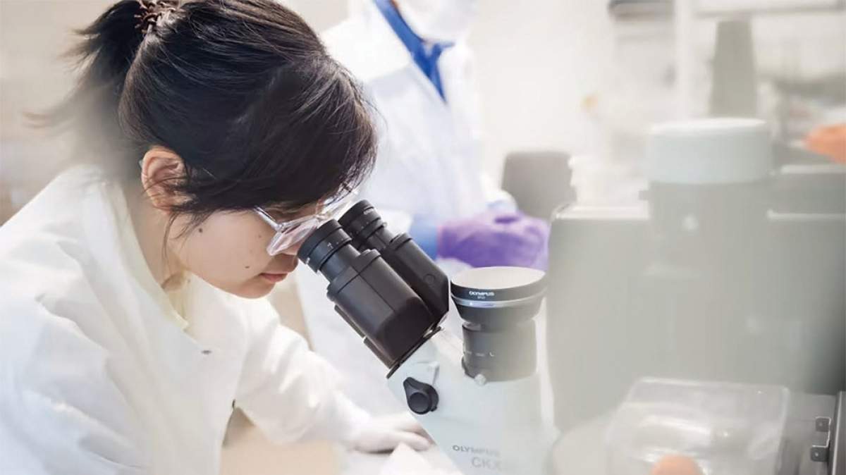 Healthcare a bright spot in Vietnam-Japan relationship Healthcare a bright spot in Vietnam-Japan relationship