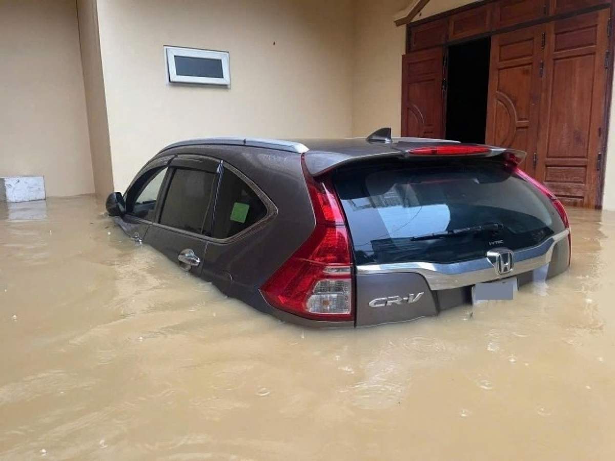 Non-life insurers face mounting pressure after typhoon hits motor sector Non-life insurers face mounting pressure after typhoon hits motor sector