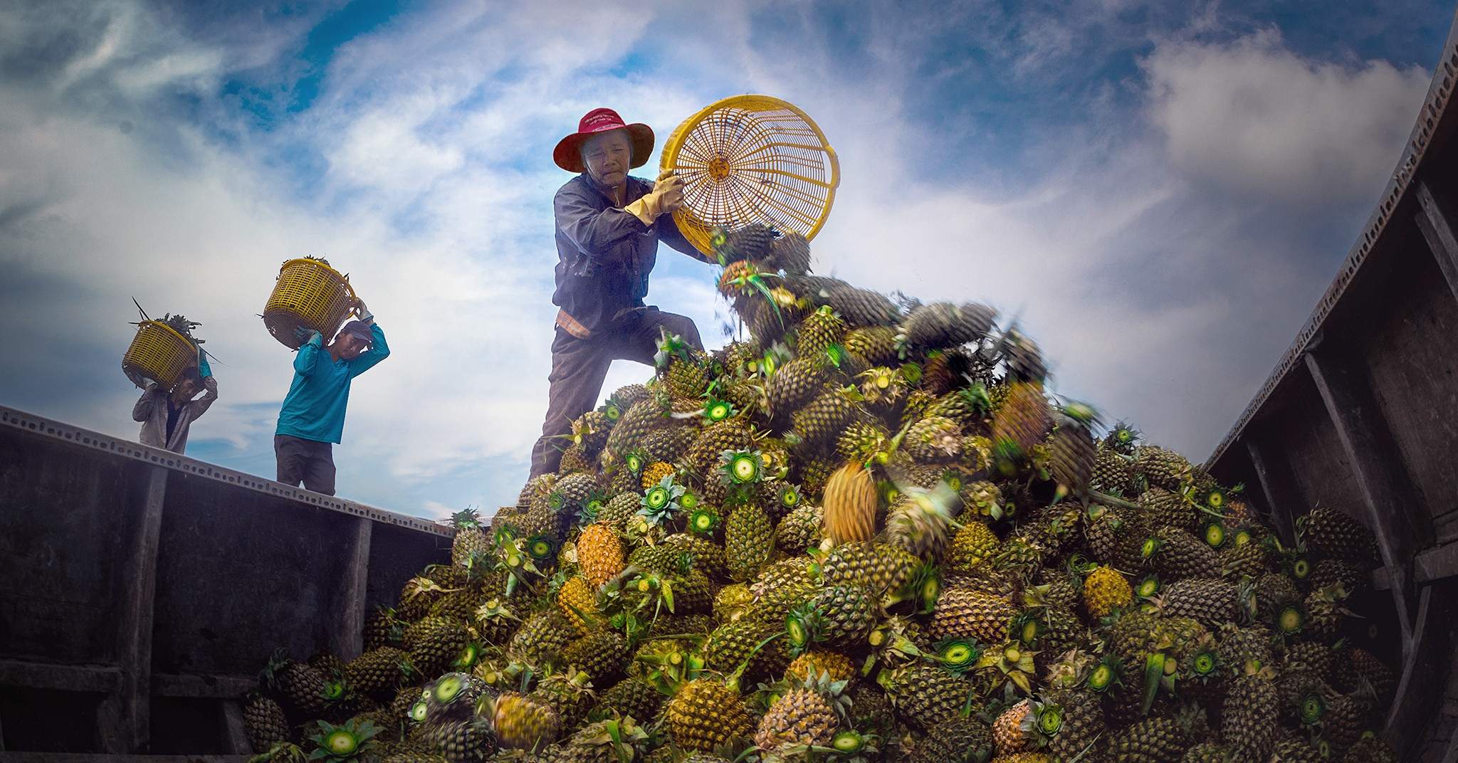 Qua thời ‘rau 2 luống, lợn 2 chuồng’, không làm sạch thì ai mua