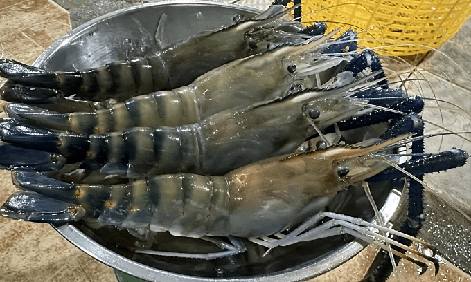 Shrimp exports see biggest growth in 3 years