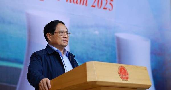 Thủ tướng Chỉ đạo hoàn tất đàm phán điện hạt nhân Ninh Thuận với Nga , Nhật Bản