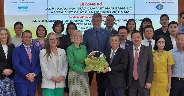 Trái bưởi của Việt Nam chính thức có “visa” vào Úc
