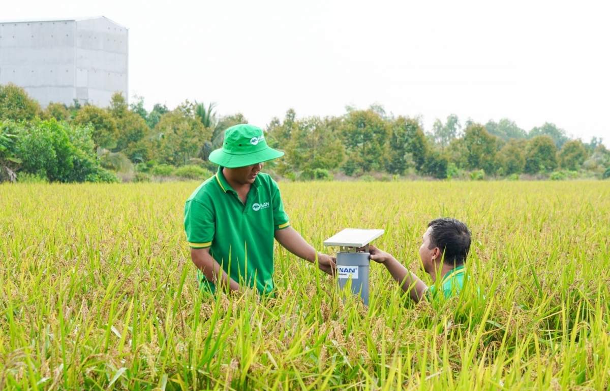 Vietnam to pilot 15 carbon credit farming models Vietnam to pilot 15 carbon credit farming models