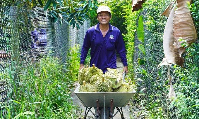China buys nearly B worth of Vietnamese durian in September