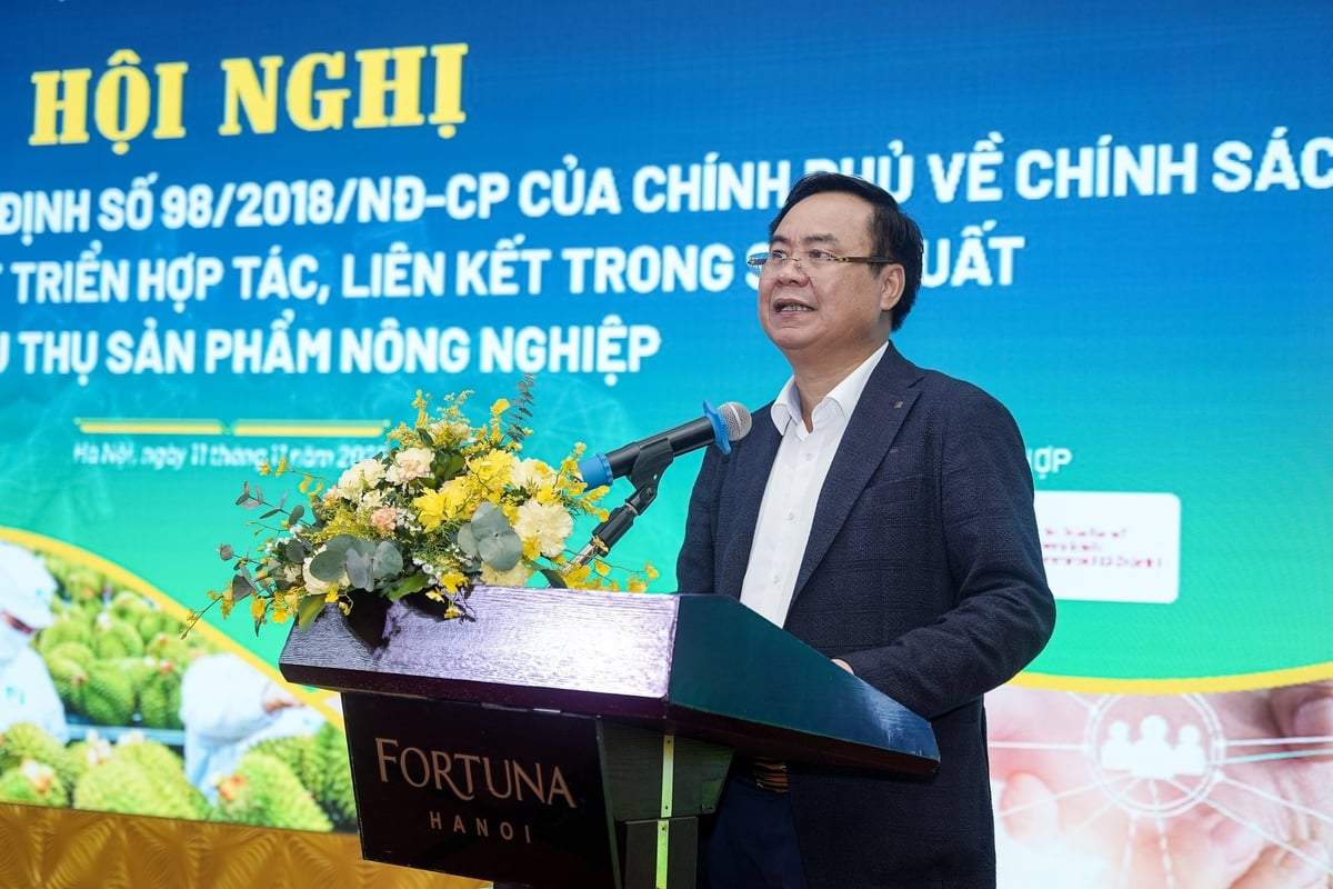 Liên kết chuỗi giá trị là “chìa khóa thể chế” cho nông nghiệp hiện đại