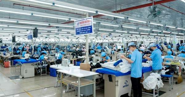 Công ty Dệt may trả cổ tức 25% bằng tiền mặt