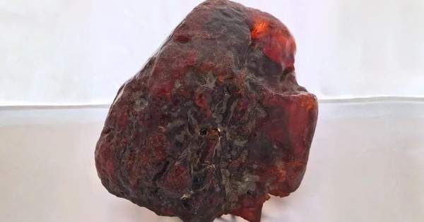 Hòn đá chặn cửa bất ngờ hóa thành bảo vật triệu đô Hòn đá chặn cửa bất ngờ hóa thành bảo vật triệu đô