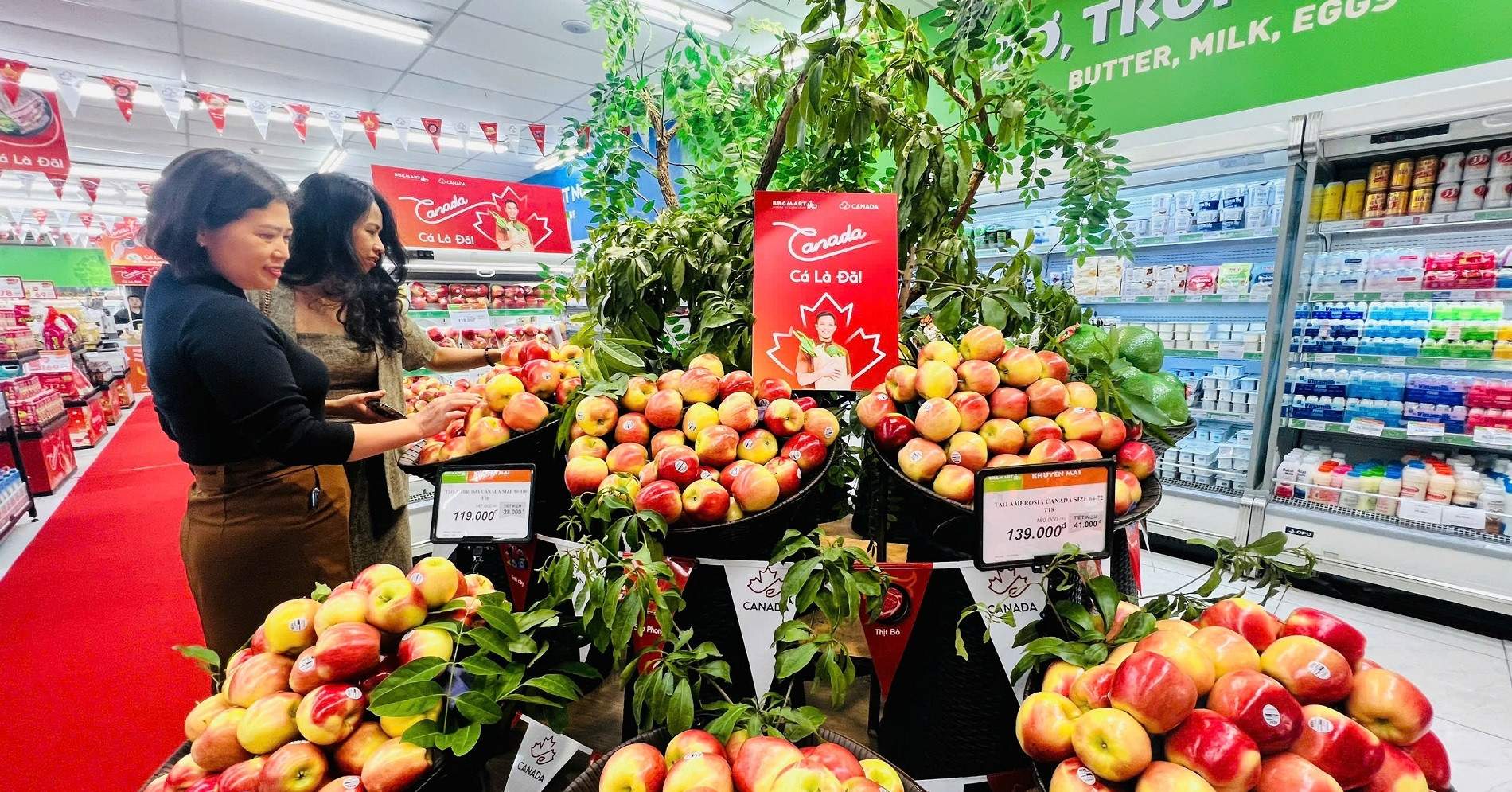 Khai mạc Lễ hội Nông sản và Thực phẩm Canada 2025 tại BRGMart