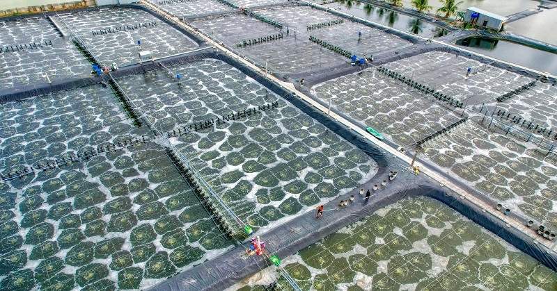 Kinh tế tuần hoàn – Giải pháp cho phát triển bền vững