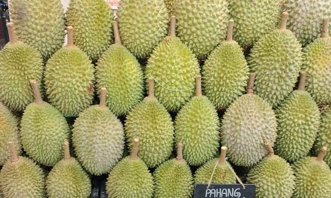 Singapore sees  all-you-can-eat Musang King durian buffet for year-end holiday