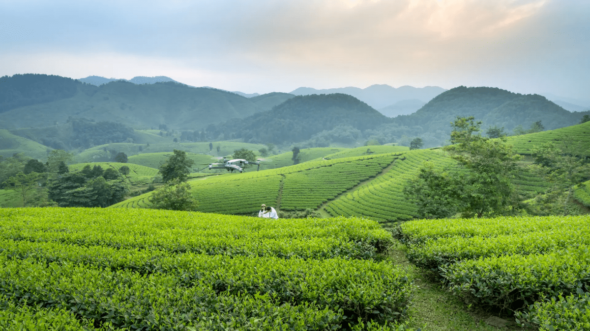 Swedfund invests in MSME growth and climate action in Vietnam Swedfund invests in MSME growth and climate action in Vietnam
