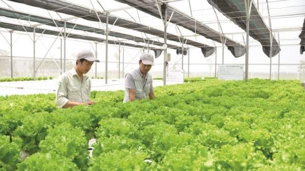 Tạo điều kiện cho doanh nghiệp, hợp tác xã tiếp cận gói tín dụng xanh, ưu đãi Tạo điều kiện cho doanh nghiệp, hợp tác xã tiếp cận gói tín dụng xanh, ưu đãi