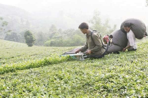Tạo khung pháp lý hoàn chỉnh cho chương trình mục tiêu quốc gia