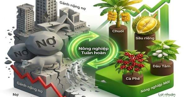 Từ bán nhà cũng phải trồng cao su, mất ngủ vì heo ăn chuối, bầu Đức sắp xoay trục sang sản phẩm chủ lực mới?