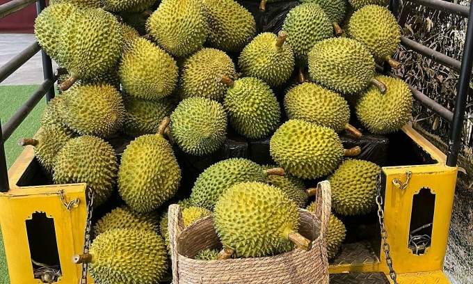 1,000 kg of free durians snapped up in 2 hours at Singapore giveaway