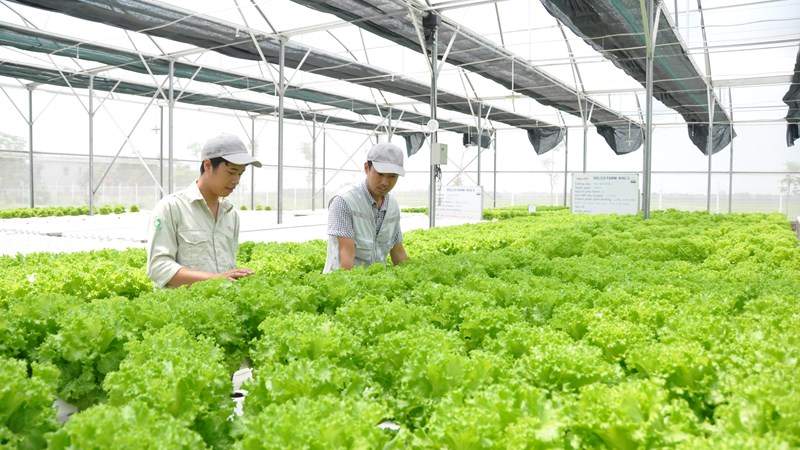 Cách làm mới của Ninh Bình: Từ kêu gọi vốn sang chọn đối tác chiến lược